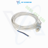 IS-08-G3-03 | Cảm biến tiệm cận | Datalogic